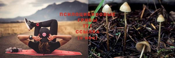 синтетический гашиш Беломорск