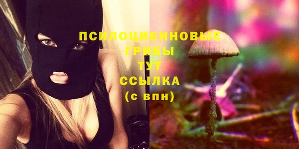 прущие крисы Белоозёрский