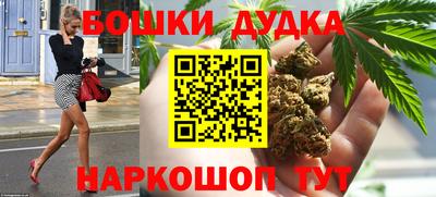 индика Будённовск