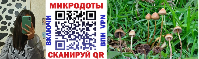 Галлюциногенные грибы GOLDEN TEACHER  где купить наркоту  Воскресенск 
