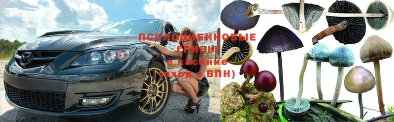 как найти закладки  Воскресенск  Галлюциногенные грибы Cubensis 