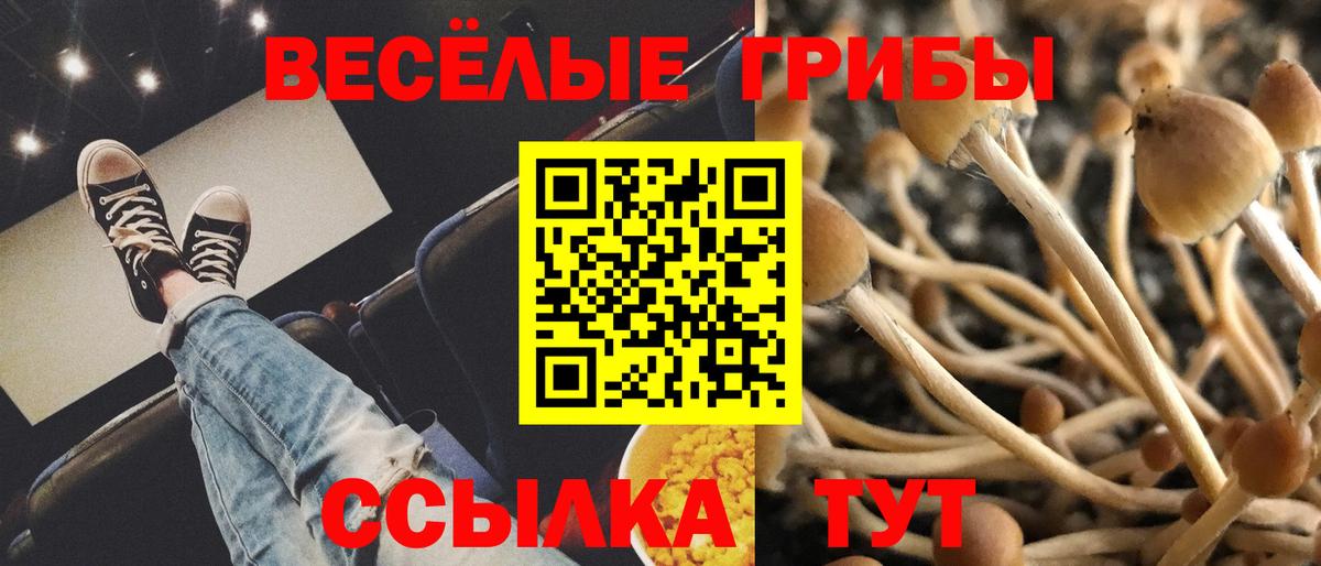 ГАШ  Каннабис  Вход с VPN  Меф   Альфа ПВП СК   Воскресенск  ГАШИШ 